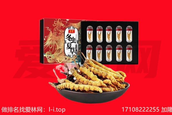 盐城市阜宁回收虫草.jpg